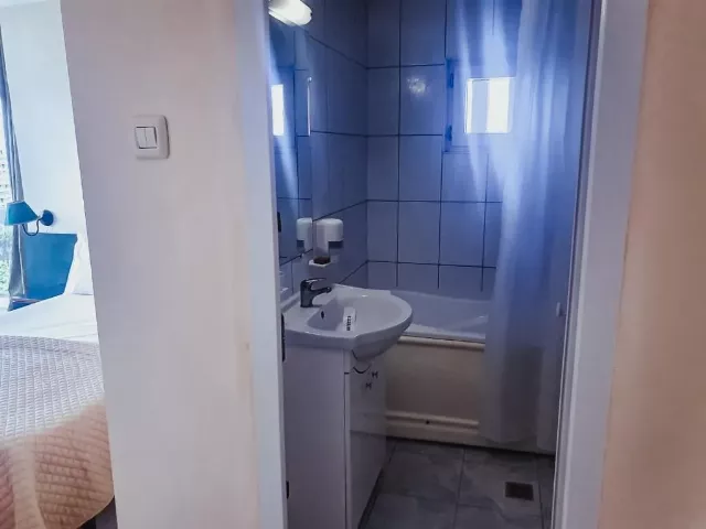 Hotel Majestic Cameră Dublă #8