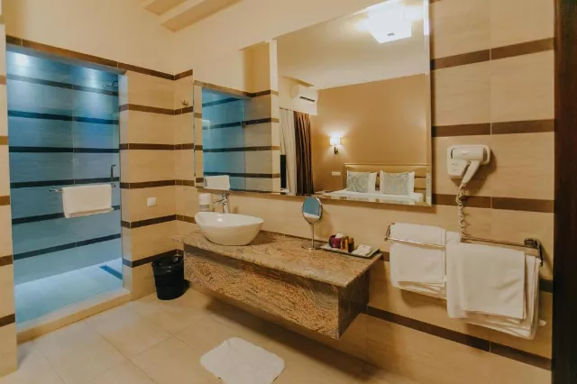 Hotel Romanita Cameră Dublă #3