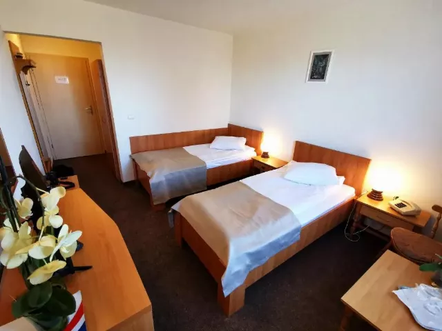 Hotel Montana Cameră Twin 2* #2