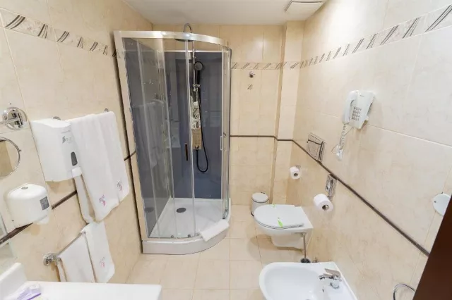 Hotel Dorna Cameră Dublă superioară matrimonială #2