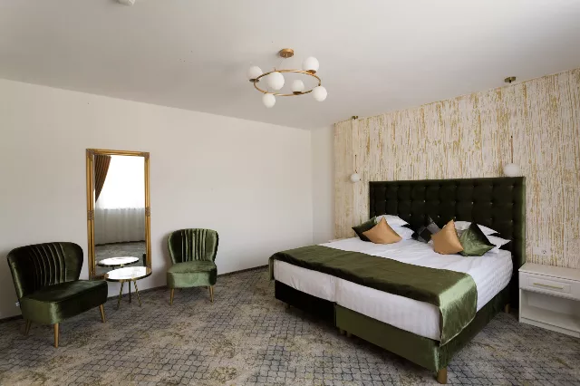 Hotel Sentir Cameră Dublă cu Balcon, Ariniș