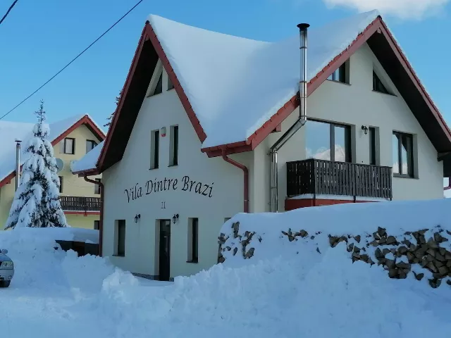 Vila Dintre Brazi