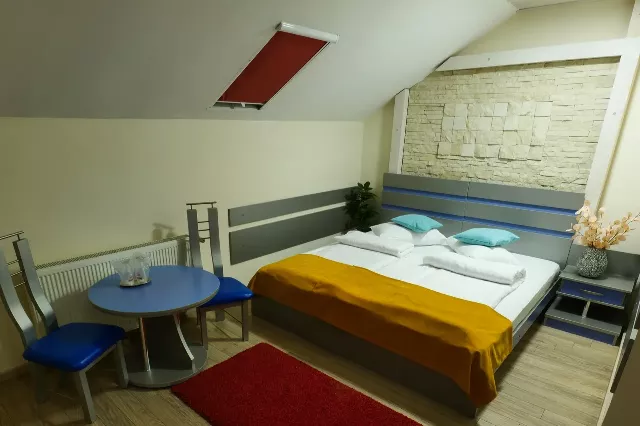 Pensiunea Casa Teo Double Standard Velux fara balcon #2