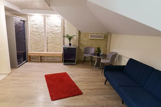 Pensiunea Casa Teo Suite Velux fara balcon