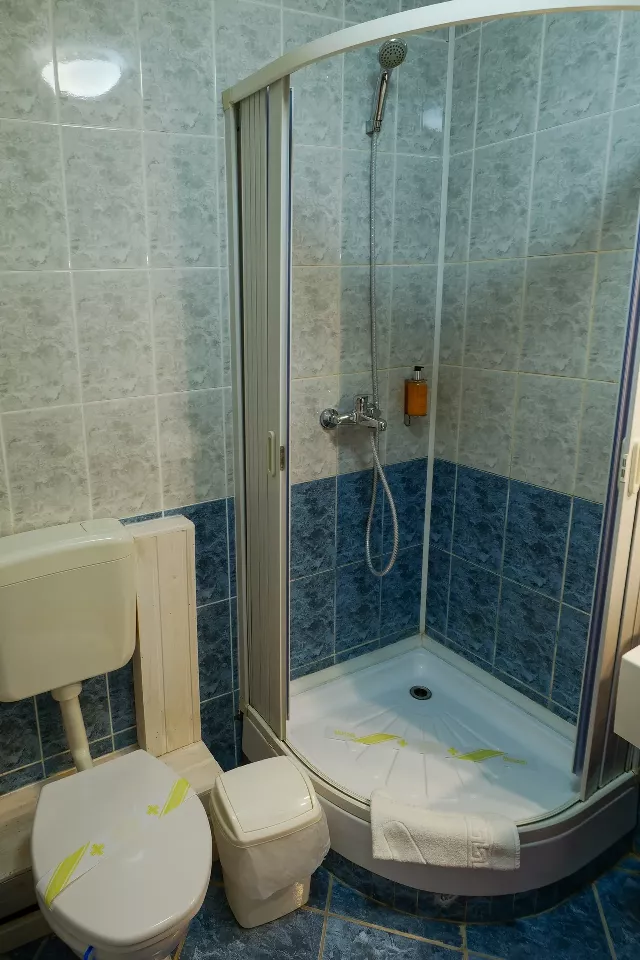 Pensiunea Casa Teo Cameră Dublă fară balcon #3