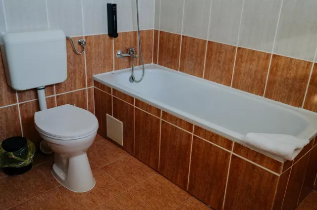 Hotel Europa Cameră Triplă #3