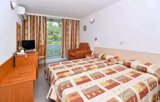 Hotel Althea Cameră Dublă