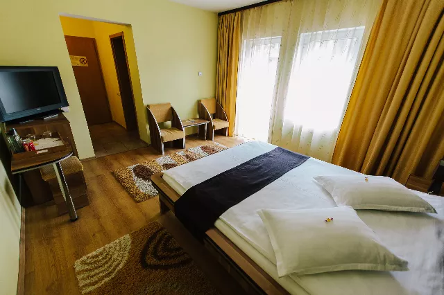 Hotel Dobsi Cameră Dublă #5