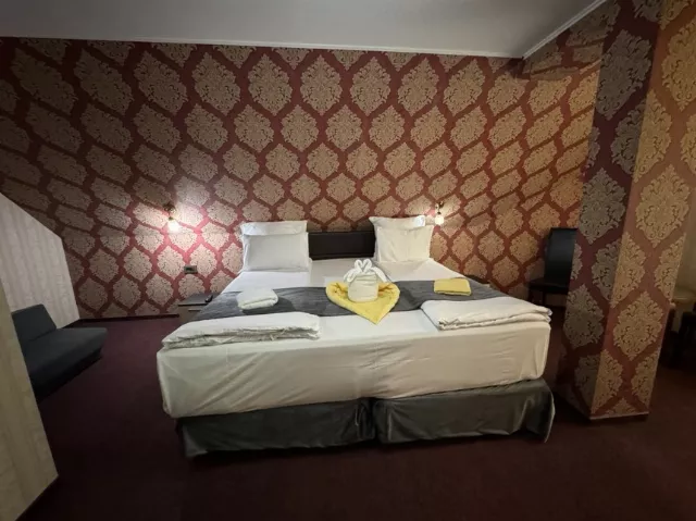 Pensiunea Domeniul Regilor Cameră Dublă premium #4