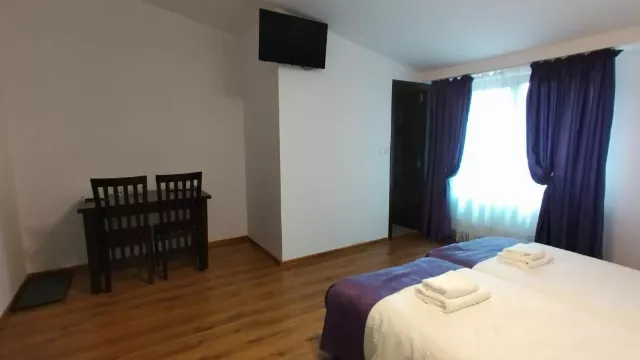 Pensiunea La Amy Cameră Dublă twin #2