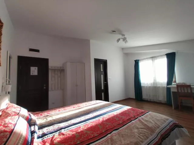 Pensiunea La Amy Cameră Dublă king deluxe c3 #5