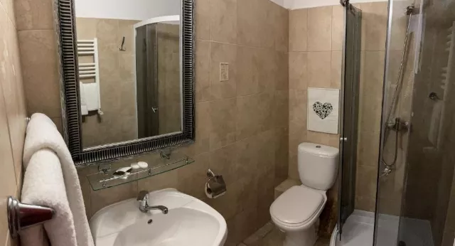 Pensiunea Poiana Izvoarelor Cameră Dublă twin #2