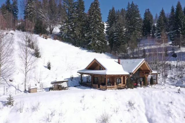 Pensiunea Poiana Izvoarelor Chalet #2