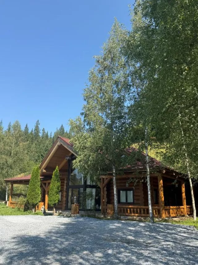 Pensiunea Poiana Izvoarelor Chalet