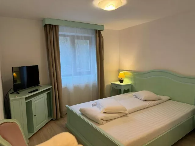 Pensiunea Poiana Izvoarelor Cameră Dublă mică