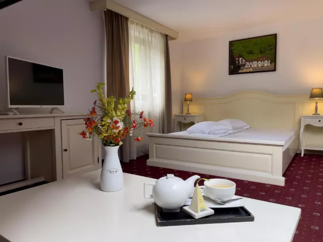 Pensiunea Poiana Izvoarelor Cvadrupla