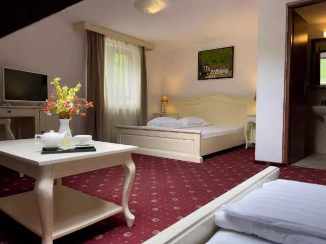 Pensiunea Poiana Izvoarelor Cameră Triplă