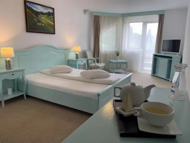 Pensiunea Poiana Izvoarelor Cameră Dublă standard cu balcon