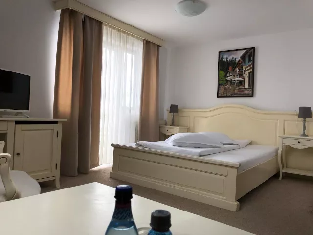 Pensiunea Poiana Izvoarelor Cameră Dublă standard cu balcon #4