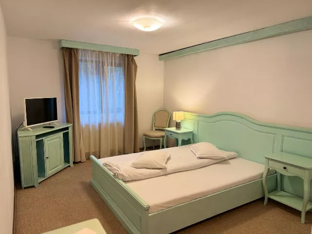 Pensiunea Poiana Izvoarelor Cameră Dublă standard