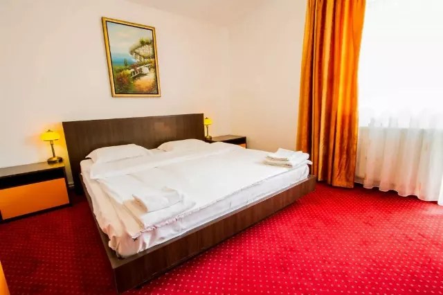 Complex turistic Max International Cameră dublă matrimonială plus #9