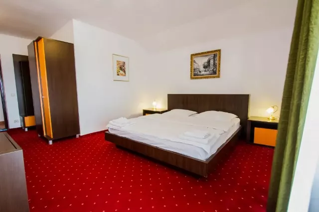 Complex turistic Max International Cameră Dublă matrimonială superioară #7