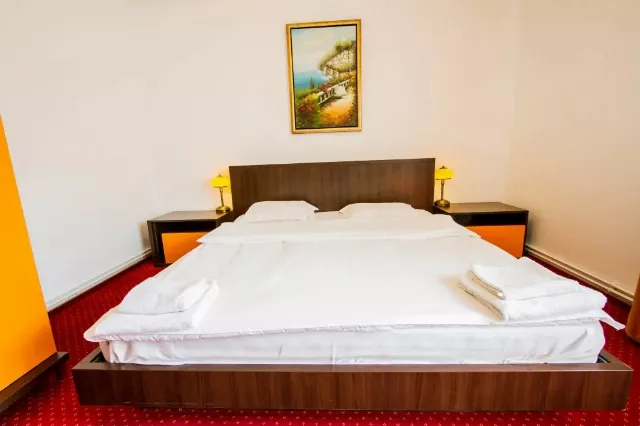 Complex turistic Max International Cameră dublă matrimonială plus #10