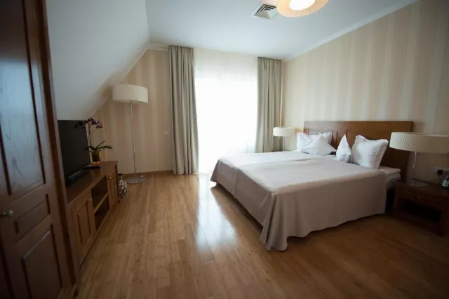 Hotel Tts Spa & Wellness Apartament prezidențial #3