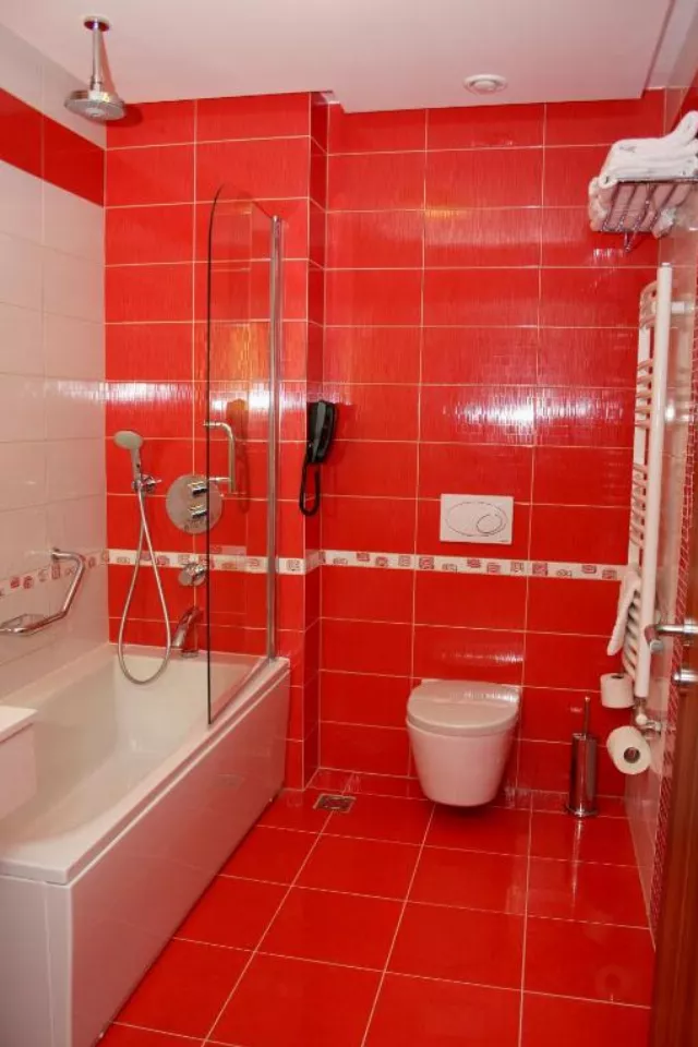 Hotel President Cameră Dublă superioară #2