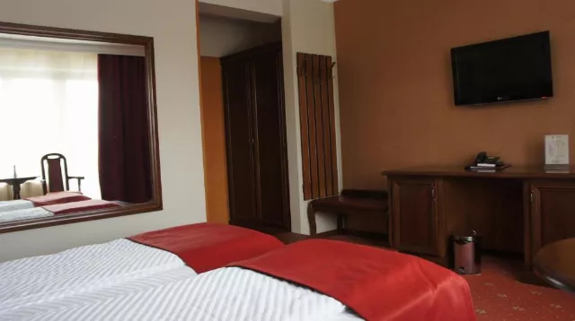 Hotel President Cameră Dublă standard #4