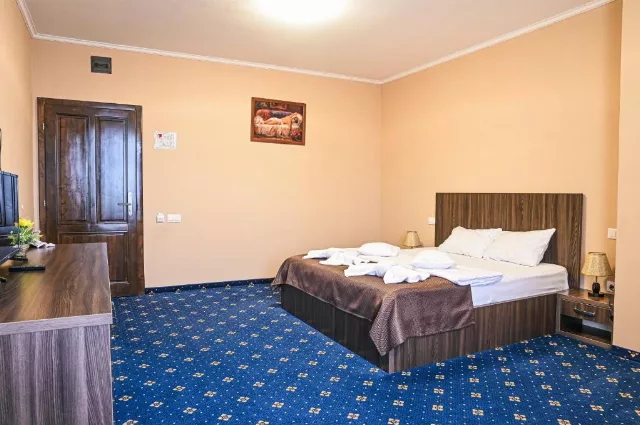 Hotel Abi Cameră Dublă matrimonială #3