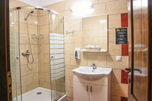 Hotel Abi Cameră Dublă matrimonială #5