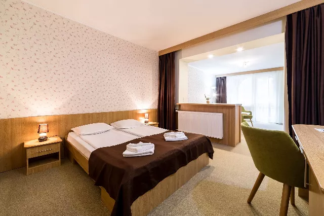 Hotel Muresul Health And Spa Cameră Dublă superioară