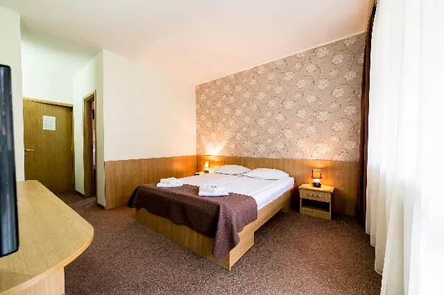Hotel Muresul Health And Spa Cameră Dublă standard