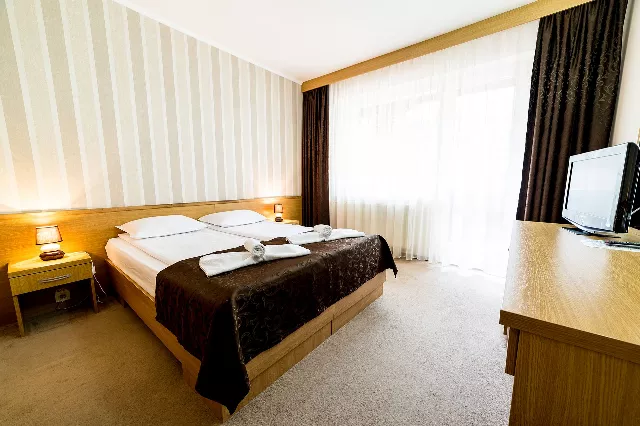 Hotel Muresul Health And Spa Cameră Dublă standard #4