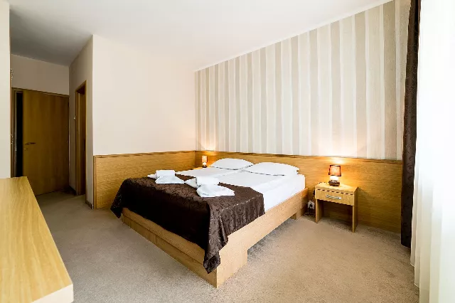 Hotel Muresul Health And Spa Cameră Dublă standard #3