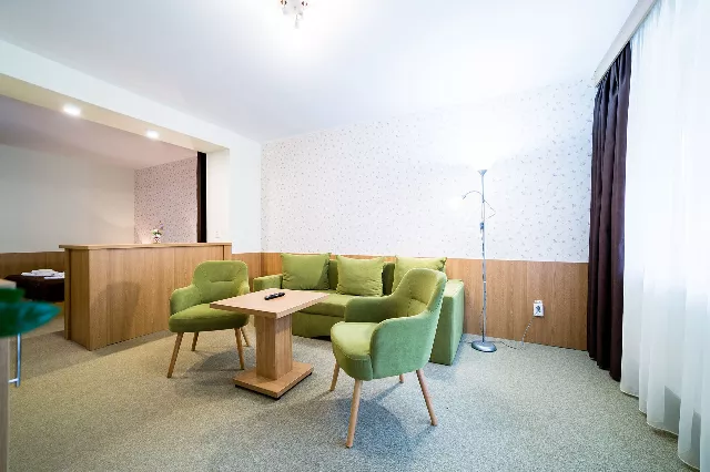 Hotel Muresul Health And Spa Cameră Dublă superioară #3