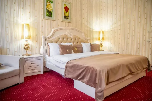 Hotel Carpathia Cameră Dublă cu fotoliu extensibil #4