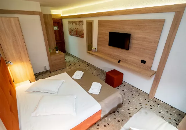 Hotel Delta Cameră Dublă family