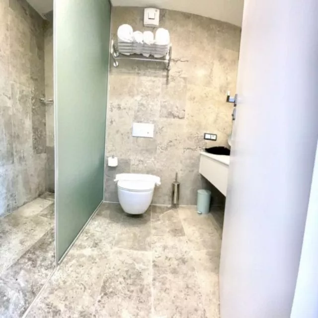 Hotel Werk And Spa Cameră Dublă standard #3