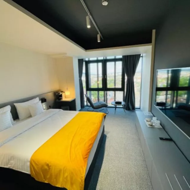 Hotel Werk And Spa Cameră Dublă standard