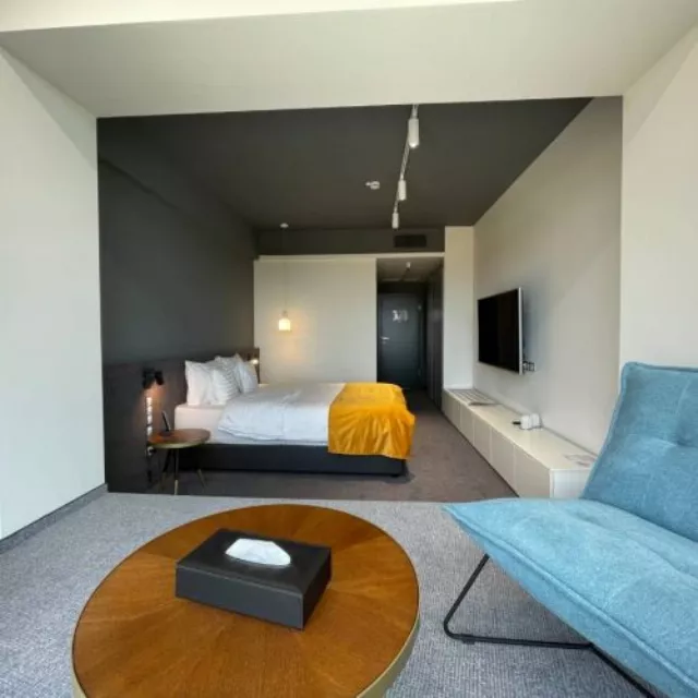 Hotel Werk And Spa Cameră Dublă superioară