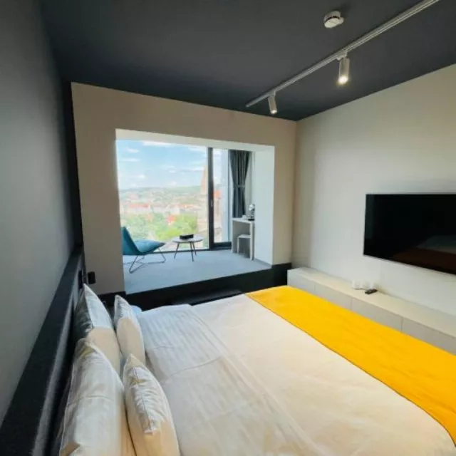 Hotel Werk And Spa Cameră Dublă superioară #2