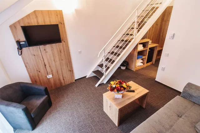 Hotel Domnitei Apartament Junior