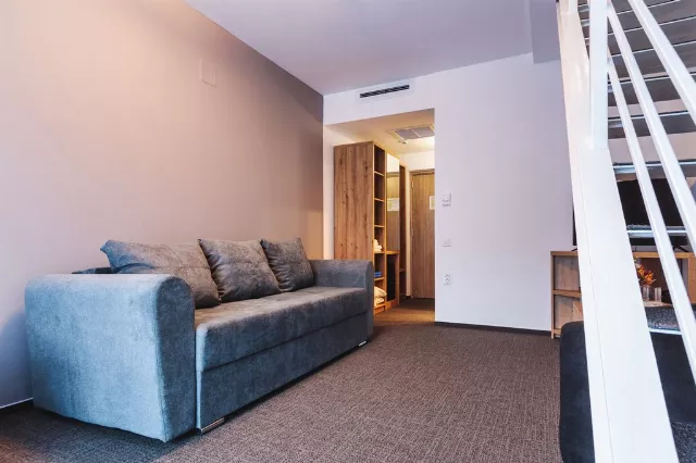 Hotel Domnitei Apartament Family