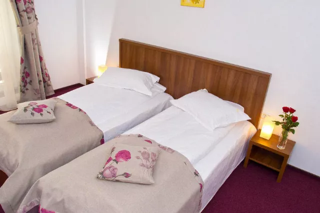 Hotel Domnitei, Cameră Dublă twin