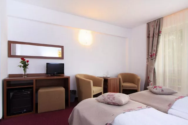 Hotel Domnitei Cameră Dublă twin #3