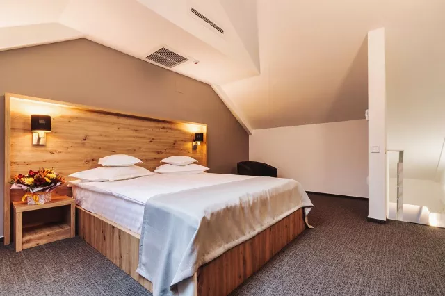 Hotel Domnitei Apartament Junior #2