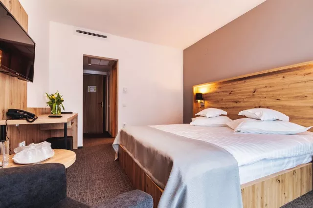 Hotel Domnitei Cameră Dublă matrimonială #4