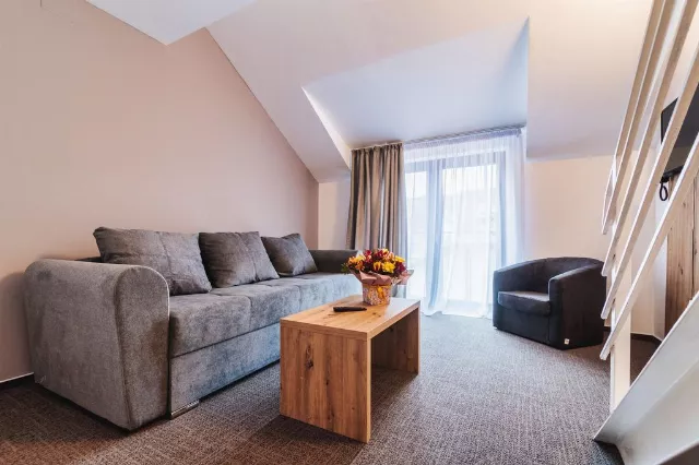 Hotel Domnitei Apartament Junior #5